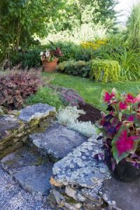 Tips for Busy Gardeners Image